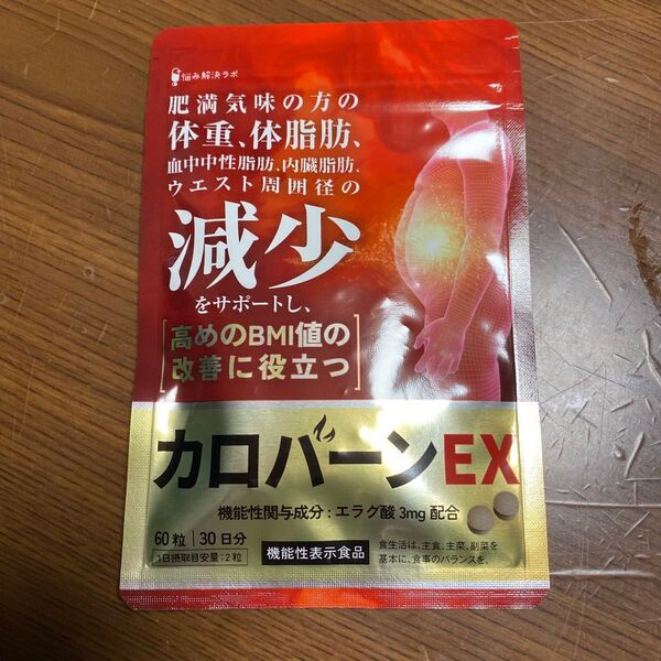 カロバーンEX 60粒