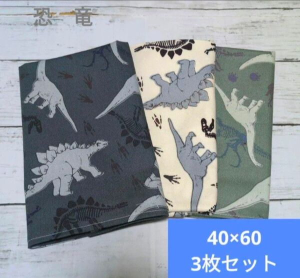 40×60 恐竜 緑 グレー 白 ハンドメイド ランチョンマット 入園入学準備