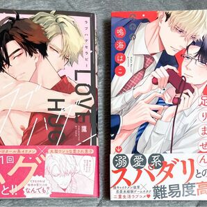 BL漫画 コミック 2冊セット 鷹 鳴海はこ