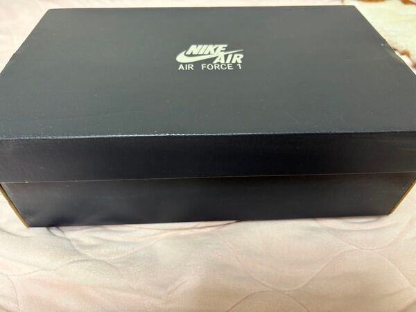 NIKE AIRFORCE1 FONTANKA 空箱