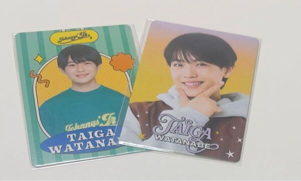 【新品未開封匿名発送】 渡邉大我 プロフィールカード プロカ 2枚 2025