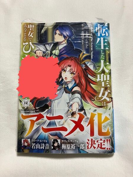 転生した大聖女は、聖女であることをひた隠す A Tale of The Great Saint 12 青辺マヒト/漫画
