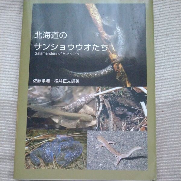 北海道のサンショウウオたち (単行本 (ソフトカバー))