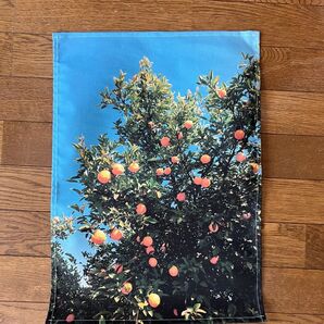 ファブリックポスター