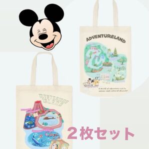 【2枚組SET】ディズニーリゾート限定 ミニトート