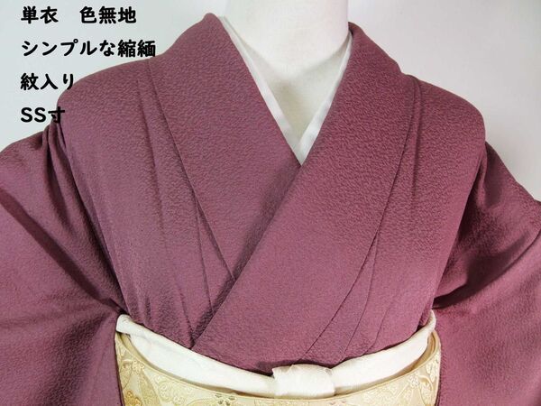 ほぼ美品 単衣 色無地 シンプルな縮緬 紋入り 雁木檜扇紋 京藤色 SS寸