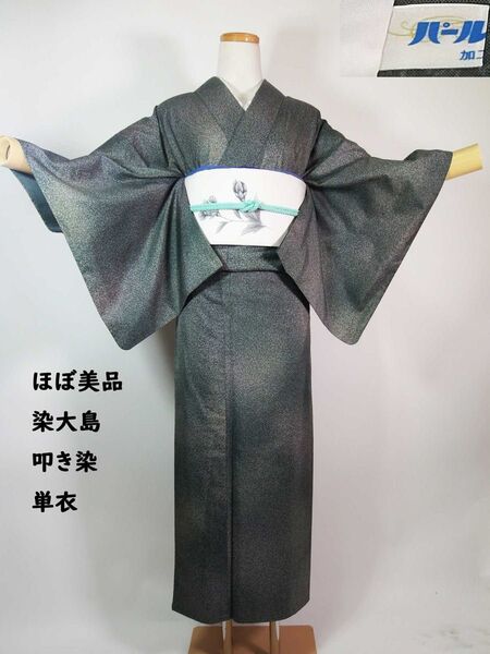 ほぼ美品 単衣 染大島紬 叩き染め 着物 正絹 灰色帯びた緑 ガード加工済み