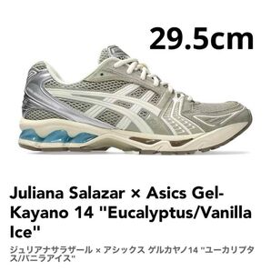 Juliana Salazar Asics Gel-Kayano 14 29.5cm