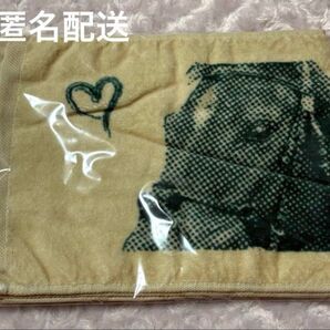 グランアレグリア 引退 タオル