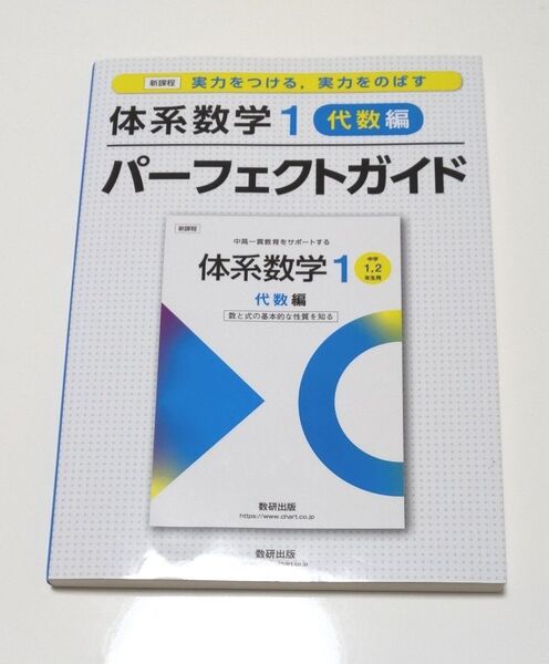 【書き込みなし】新課程 実力をつける 実力をのばす 体系数学1 代数編 パーフェクトガイド 数研出版編集部