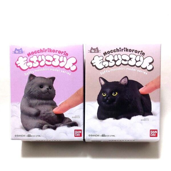 BANDAI もっちりころりん ねこ ぽってり グレー 香箱 黒 フィギュア 2種 黒猫 猫 ネコ インテリア 猫雑貨 もちもち