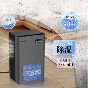 人気 除湿機 強力除湿 2000ML大容量 省エネ 静音 軽量 梅雨対策 グレー 小型