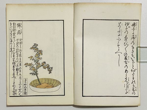 Yahoo!オークション -「華道 和本」(本、雑誌) の落札相場・落札価格 Yahoo!オークション -「華道 和本」(本、雑誌) の落札相場・落札価格