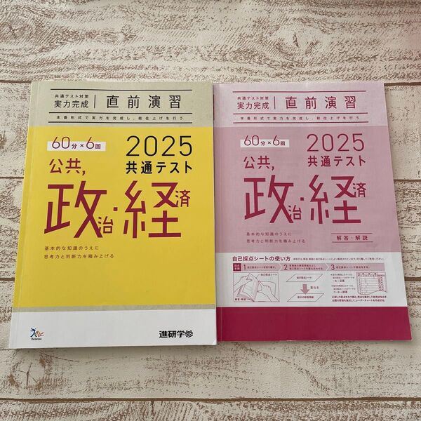 2025共通テスト対策 実力完成 直前演習 Benesse公共、政治、経済