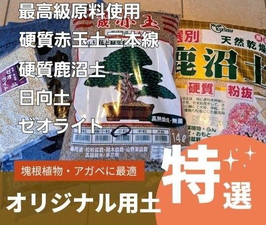 硬質赤玉土 赤玉土三本線 塊根植物用土 グラキリス 塊根 コーデックス パキポディウム アガベ 多肉植物 パキプス 園芸用土