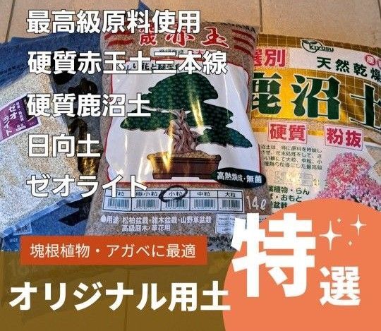 硬質赤玉土 赤玉土三本線 塊根植物用土 グラキリス 塊根 コーデックス パキポディウム アガベ 多肉植物 パキプス 観葉植物