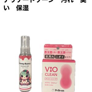 デリケートゾーン フェミニン 消臭 スプレー 50ml & V10 石鹸80g 臭い 原因 保湿 常在菌 保護 黒ズミ 汚れ 清潔