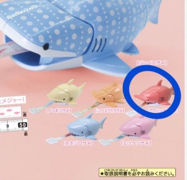 ぱくもぐ!サメジャー ~ジンベエザメがやってきた!~ アカシュモクザメ