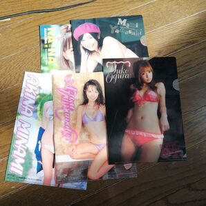 グラビアアイドルB5クリアファイル5点セット