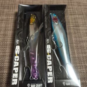 エスケイパー 限定カラー