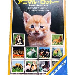 アニマル・ロットー、動物絵あわせゲーム