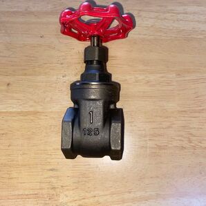 ゲートバルブ 25mm (1インチ)