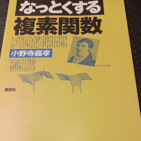 なっとくする複素関数 (なっとくシリーズ) 小野寺嘉孝/著