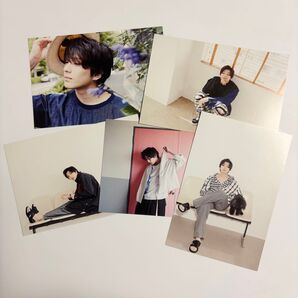 真剣佑 ポストカード 5種セット