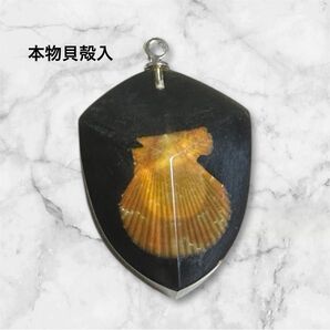 レア品 本物貝殻 ネックレスチャーム