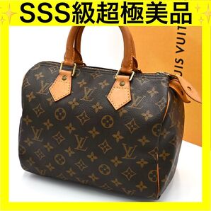 ルイヴィトン LOUIS VUITTON モノグラム ハンドバッグ M41528