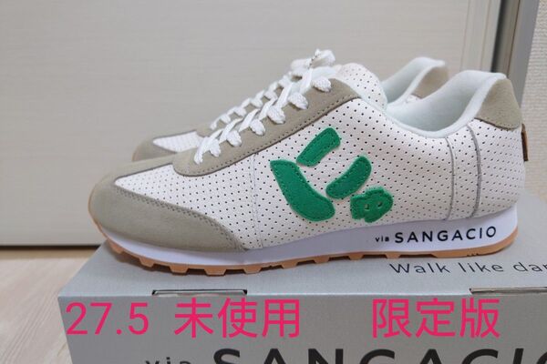 サンガッチョ SANGACIO にゅ 限定 27.5