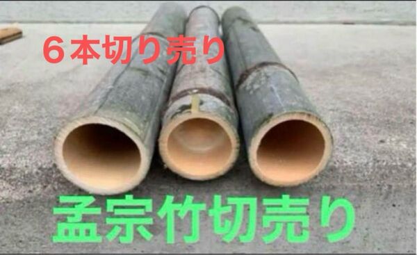 竹 切り売り 50cm 6本 孟宗竹 天然 無農薬 送料込み