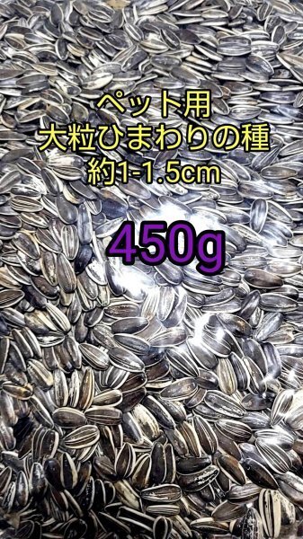 大粒ひまわりの種450g ハムスター リス オウム インコ 小動物 鳥類 野鳥
