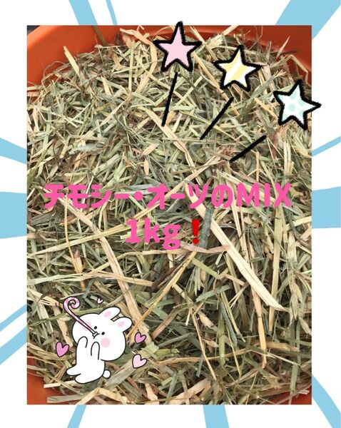 松畜牧草 チモシー・オーツのMIX 1kg