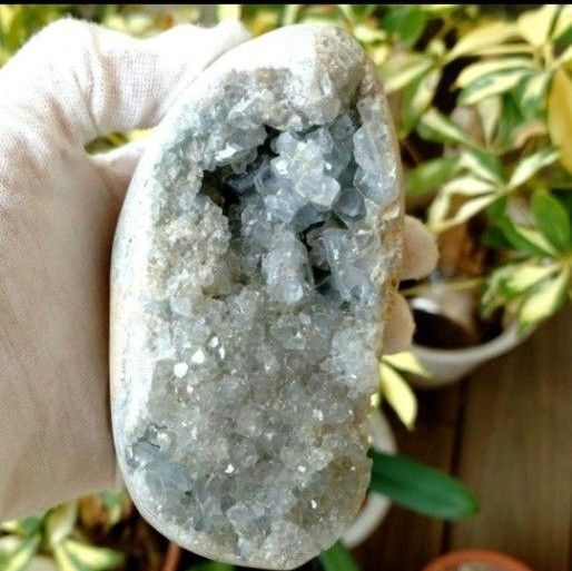 最終割引特価【天使の石】セレスタイト 原石 鉱石 鉱物 天然石 パワーストーン ⑤