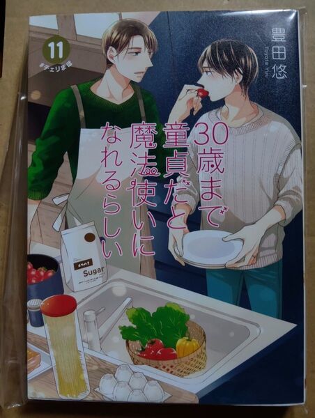 チェリまほ 11巻特装版