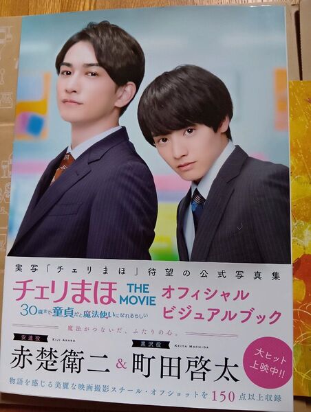 チェリまほビジュアルブックとパンフレットセット