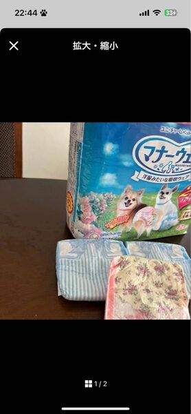 マナーウェア SSSサイズ お試し4枚 枚数相談可