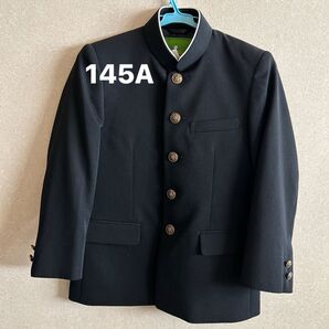 学生服 上着 男子 145A