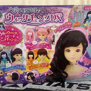 ウィッグチェンジDX 汚れあり