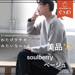 【美品】soulberry ソウルベリー ニット t9a0223 ベージュ ひょっこり遊びにやってきた、わたげウサギみたいなニット