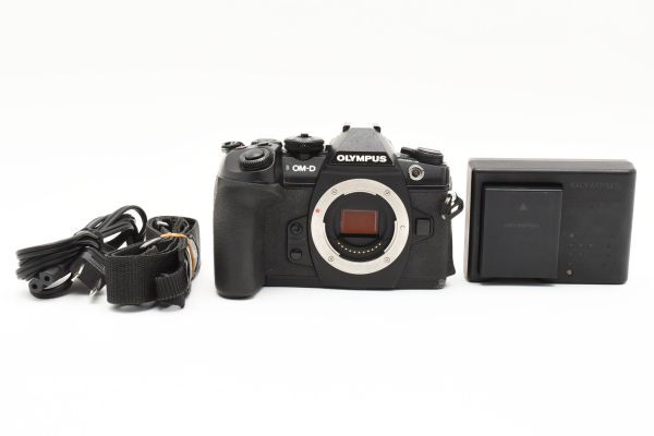 2025年最新】Yahoo!オークション -OM-D e-m1 mark ii ボディの 2025年最新】Yahoo!オークション -OM-D e-m1 mark ii ボディの