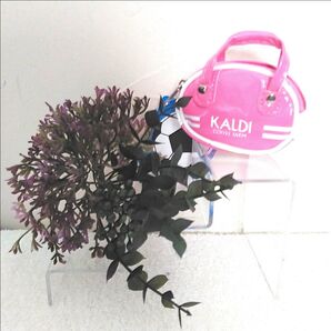 ≡KALDI≡レトロスポーツバッグ ピンク 未開封 カラビナ付 個包装チョコ イヤホン入れ カルディ限定