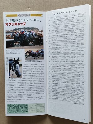 2025年最新】Yahoo!オークション -オグリキャップ 有馬記念(競馬 2025年最新】Yahoo!オークション -オグリキャップ 有馬記念(競馬
