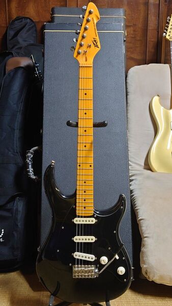 PEAVEY RAPTOR CUSTOM 当時物純正ソフトケース付き