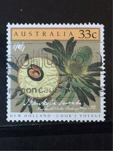 オーストラリア切手★ バンクシア・セルラタ (花) 1986年