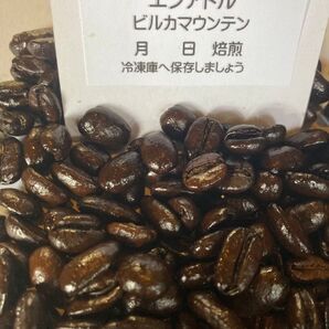 エクァドル ビルカマウンテン 300g