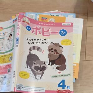 小学生 ポピー 3年 2024年4月号のみ 全科研