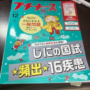 プチナース