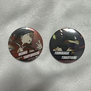 PLSQトレーディングメタリック缶バッジ(5期KV)